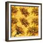 Yellow Floral Pattern I-Elizabeth Medley-Framed Art Print