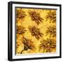 Yellow Floral Pattern I-Elizabeth Medley-Framed Art Print