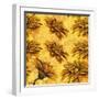 Yellow Floral Pattern I-Elizabeth Medley-Framed Art Print