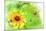 Yellow Flower And Butterflies-Ata Alishahi-Mounted Giclee Print