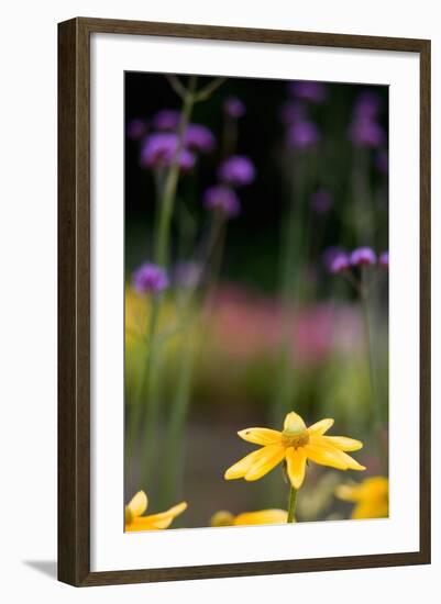 Yellow Flower in a Garden-Felipe Rodríguez-Framed Photographic Print