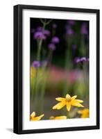 Yellow Flower in a Garden-Felipe Rodríguez-Framed Photographic Print