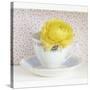 Yellow Flower in Cup and Saucer-Tom Quartermaine-Stretched Canvas