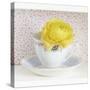 Yellow Flower in Cup and Saucer-Tom Quartermaine-Stretched Canvas
