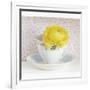 Yellow Flower in Cup and Saucer-Tom Quartermaine-Framed Giclee Print