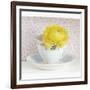 Yellow Flower in Cup and Saucer-Tom Quartermaine-Framed Giclee Print