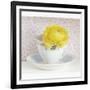 Yellow Flower in Cup and Saucer-Tom Quartermaine-Framed Giclee Print