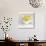 Yellow Flower in Cup and Saucer-Tom Quartermaine-Premium Giclee Print displayed on a wall