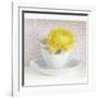 Yellow Flower in Cup and Saucer-Tom Quartermaine-Framed Premium Giclee Print