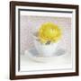 Yellow Flower in Cup and Saucer-Tom Quartermaine-Framed Premium Giclee Print