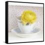 Yellow Flower in Cup and Saucer-Tom Quartermaine-Framed Stretched Canvas