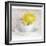 Yellow Flower in Cup and Saucer-Tom Quartermaine-Framed Giclee Print