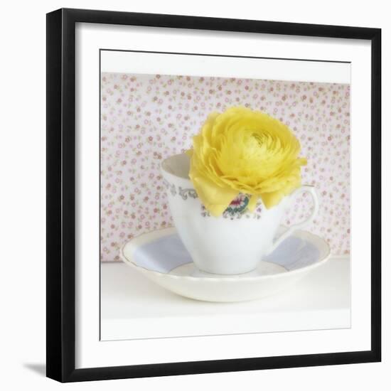 Yellow Flower in Cup and Saucer-Tom Quartermaine-Framed Giclee Print