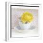 Yellow Flower in Cup and Saucer-Tom Quartermaine-Framed Giclee Print