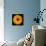 Yellow Flower on Black-Tom Quartermaine-Giclee Print displayed on a wall