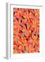 Yellow Flower Pattern-Treechild-Framed Giclee Print