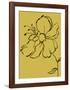 Yellow Flower-Léonor Mataillet-Framed Art Print