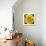 Yellow Flower-Scott Westmoreland-Premium Giclee Print displayed on a wall