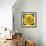Yellow Flower-Scott Westmoreland-Framed Premium Giclee Print displayed on a wall