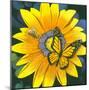 Yellow Flower-Scott Westmoreland-Mounted Premium Giclee Print
