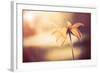 Yellow Flower-Alexey Rumyantsev-Framed Photographic Print