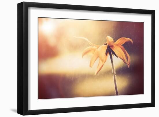 Yellow Flower-Alexey Rumyantsev-Framed Photographic Print