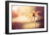 Yellow Flower-Alexey Rumyantsev-Framed Photographic Print