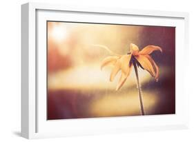 Yellow Flower-Alexey Rumyantsev-Framed Photographic Print