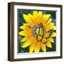 Yellow Flower-Scott Westmoreland-Framed Art Print