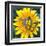 Yellow Flower-Scott Westmoreland-Framed Art Print