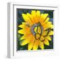 Yellow Flower-Scott Westmoreland-Framed Art Print