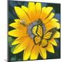 Yellow Flower-Scott Westmoreland-Mounted Art Print