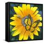 Yellow Flower-Scott Westmoreland-Framed Stretched Canvas