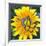 Yellow Flower-Scott Westmoreland-Framed Art Print