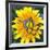 Yellow Flower-Scott Westmoreland-Framed Art Print