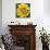 Yellow Flower-Scott Westmoreland-Mounted Art Print displayed on a wall