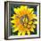 Yellow Flower-Scott Westmoreland-Framed Art Print