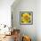 Yellow Flower-Scott Westmoreland-Framed Art Print displayed on a wall