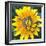 Yellow Flower-Scott Westmoreland-Framed Art Print