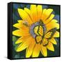 Yellow Flower-Scott Westmoreland-Framed Stretched Canvas