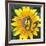 Yellow Flower-Scott Westmoreland-Framed Art Print