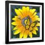 Yellow Flower-Scott Westmoreland-Framed Art Print