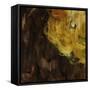 Yellow Flower-Sydney Edmunds-Framed Stretched Canvas