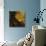 Yellow Flower-Sydney Edmunds-Giclee Print displayed on a wall