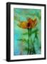 Yellow Flower.-André Burian-Framed Giclee Print