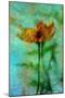 Yellow Flower.-André Burian-Mounted Giclee Print