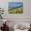 Yellow flowers blooming in the fields, Mount Acuto, Apennines, Umbria, Italy, Europe-Lorenzo Mattei-Photographic Print displayed on a wall