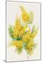Yellow Flowers, Golden Rod-ZPR Int’L-Mounted Giclee Print