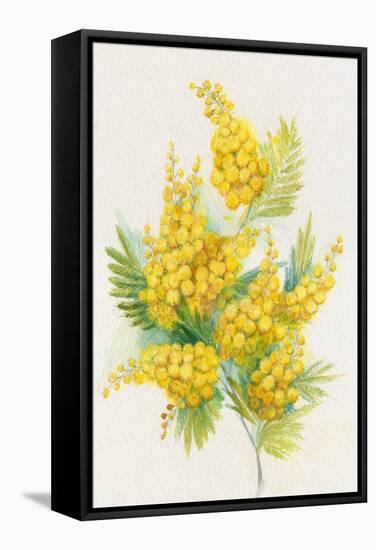 Yellow Flowers, Golden Rod-ZPR Int’L-Framed Stretched Canvas