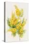 Yellow Flowers, Golden Rod-ZPR Int’L-Stretched Canvas